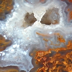 Texas Plume Agate photo gallery